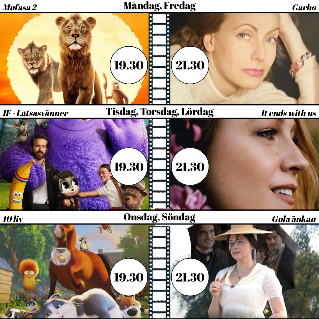 Lägg till en rubrik (17)