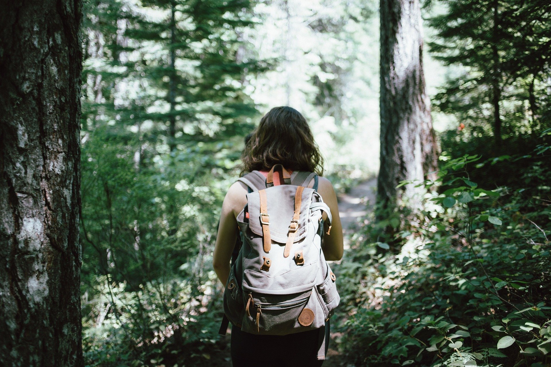 hiker-918704_1920 (1)